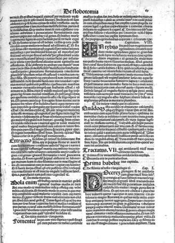 69 [Tractatus VII. De flobotomia]