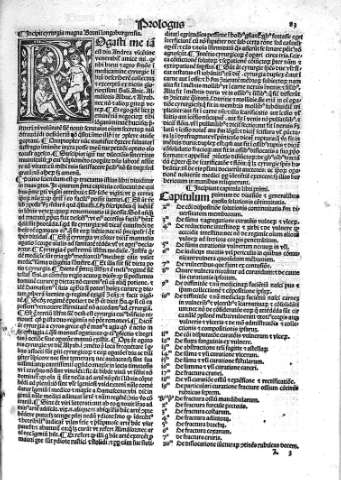 [Prologus. Incipit cyrurgia magna de Bruni longoburgensis y Libri I] 83