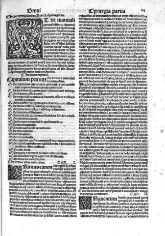 [Cyrurgia parua] 103
