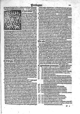 [Theodorico y Prologus] 106