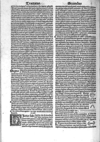 Tractatus secundus