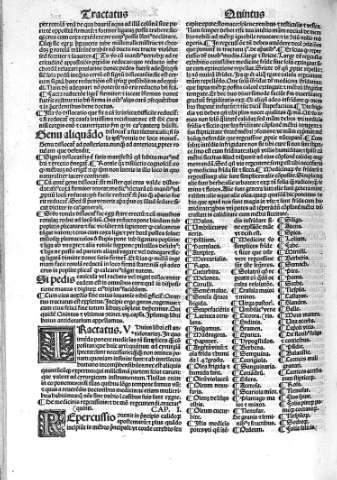 Tractatus quintus