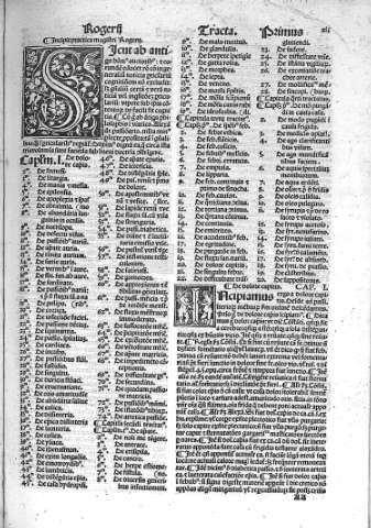 [Rogerii y Tractatus primus] 211