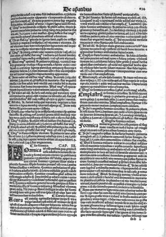 236