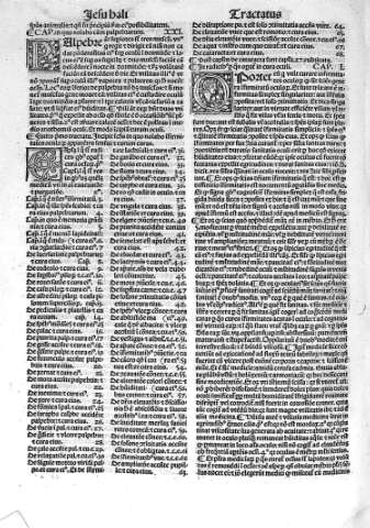 Tractatus secundus. De oculis