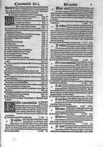 [Canamusali y Liber I] 18