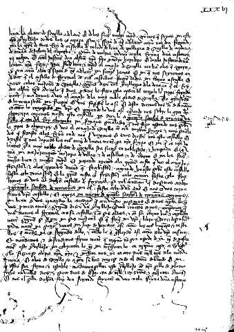 XXXVI