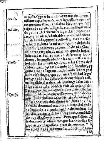 104