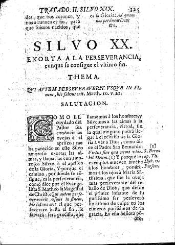 Silvo XX