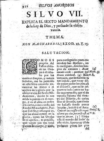Silvo VII