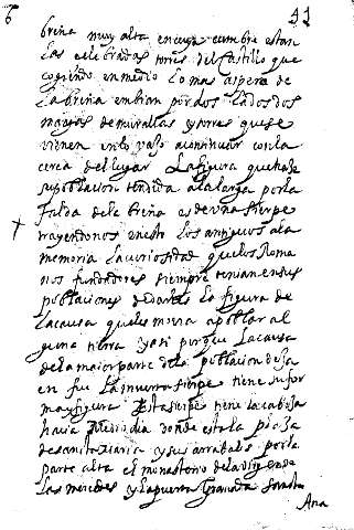 41