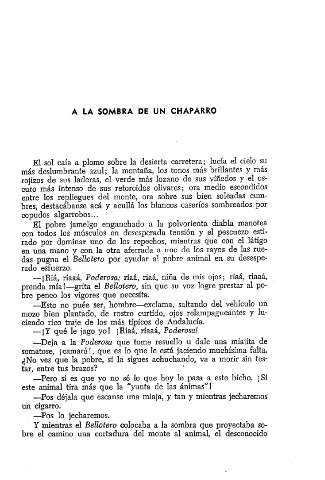 A la sombra de un chaparro