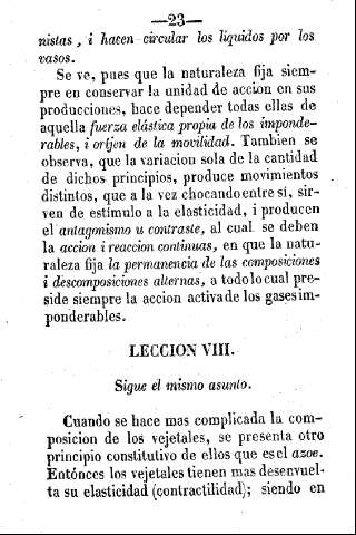Leccion VIII