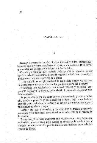 Capítulo VII
