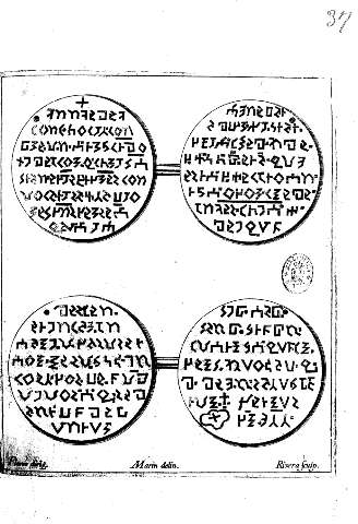 37