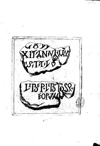 65