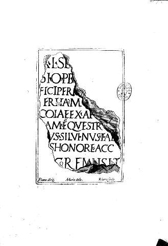 67