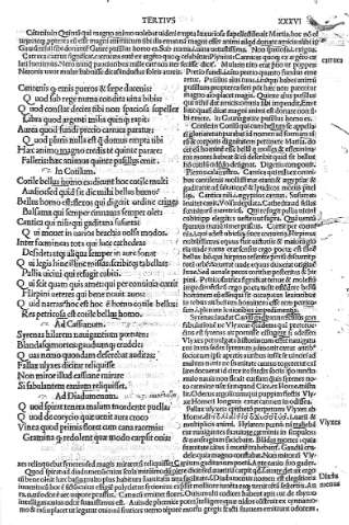 XXXVI