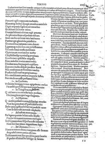XXXVIII