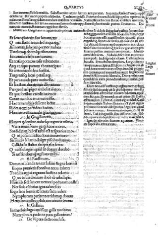XLVI