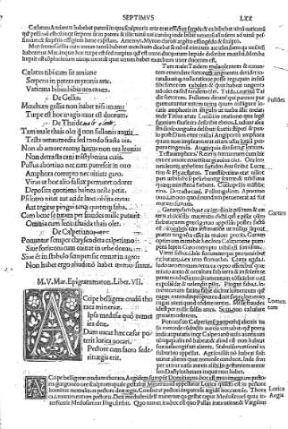 LXX [Liber Septimus]