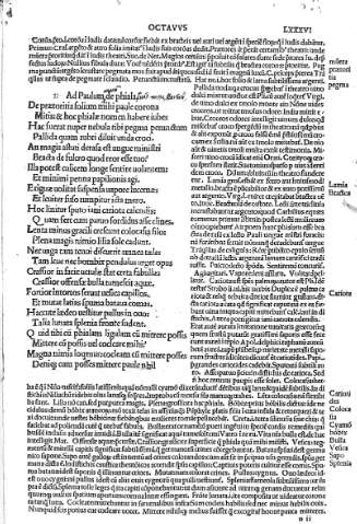 LXXXVI