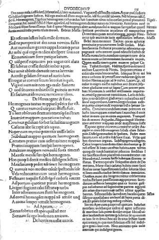 131