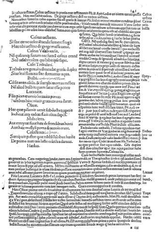 141