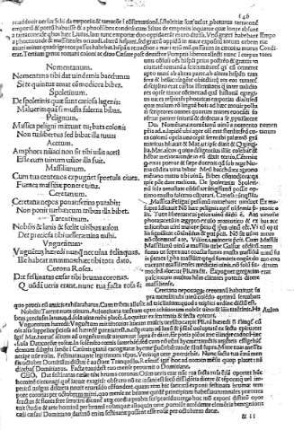 146
