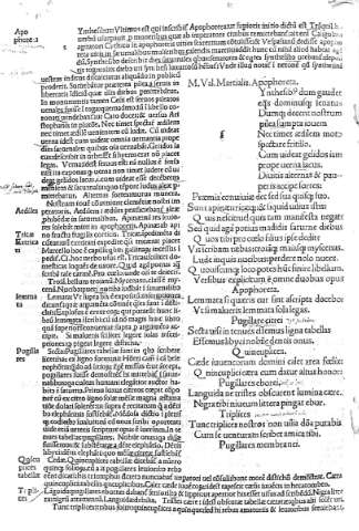 Apophoreta
