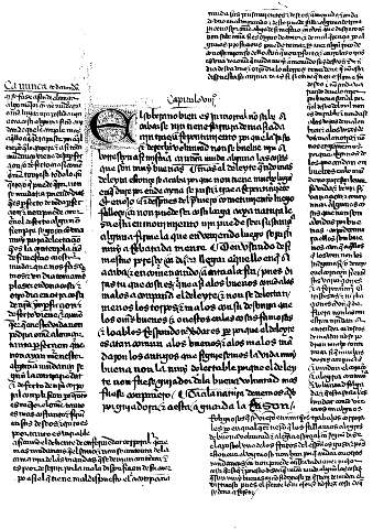 Capitulo VIII