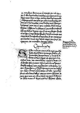 Capitulo XXVI