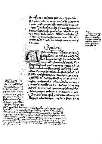 Capitulo XXXI
