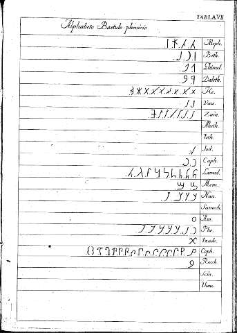 Tabla VII