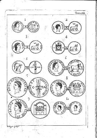 Tabla XII