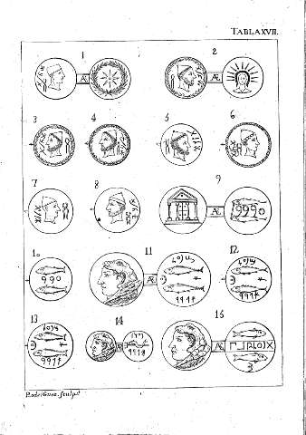 Tabla XVII