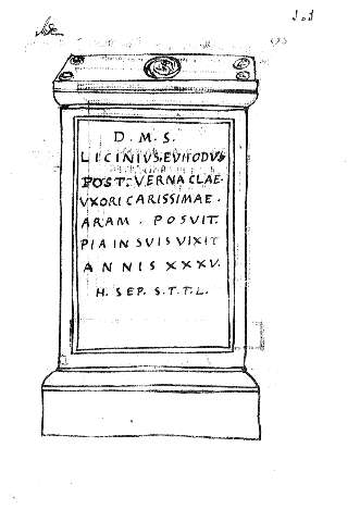 101