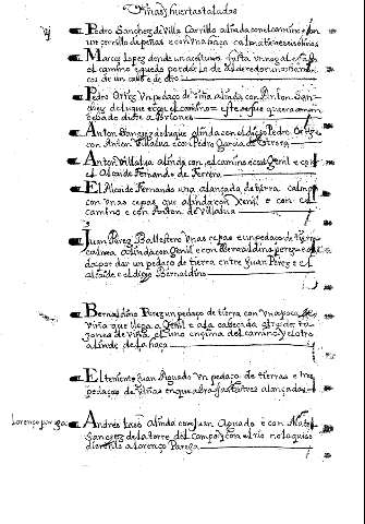 Viñas y Huertas taladas
