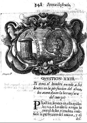 Qvestion XXIII.