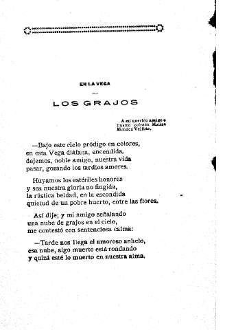 En la Vega. Los grajos