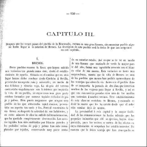 Capitulo III. Brenes