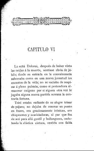 Capítulo VI