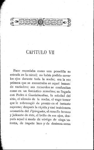 Capítulo VII