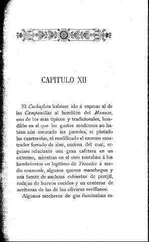 Capítulo XII