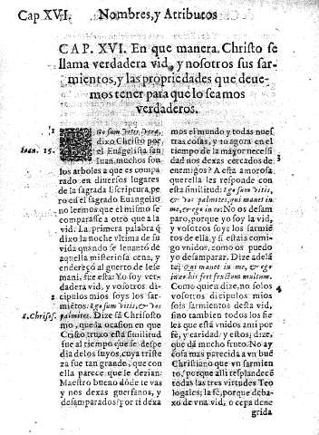 Cap. XVI. En que manera CHristo se llama verdadera vid y nosotros sus sarmientos, y las propiedades que deuemos tener para que lo seamos verdaderos