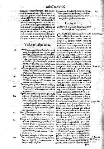 Versus 16. vsque ad 24.