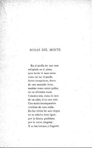 Rosas del monte