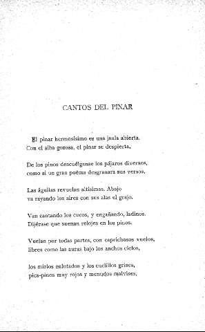 Cantos del pinar