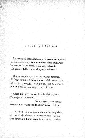 Fuego en los pinos