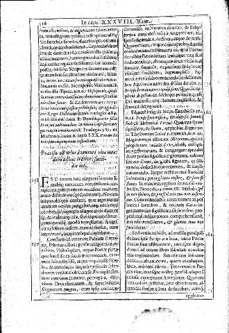 116